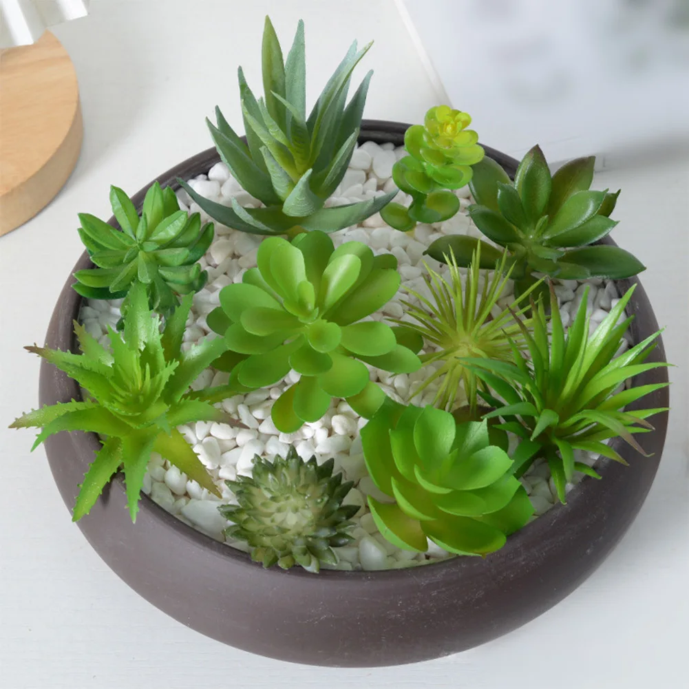 Succulent Arrangement Mini - Charming For Mini Bonsai Succulent Arrangement