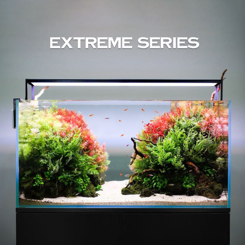 Plant Parent App - LED Aquarium light MICMOL Extreme II
