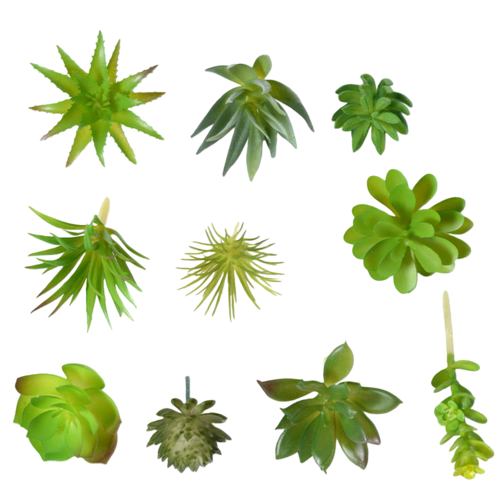 Succulent Arrangement Mini - Photography Prop Friendly For Mini Bonsai