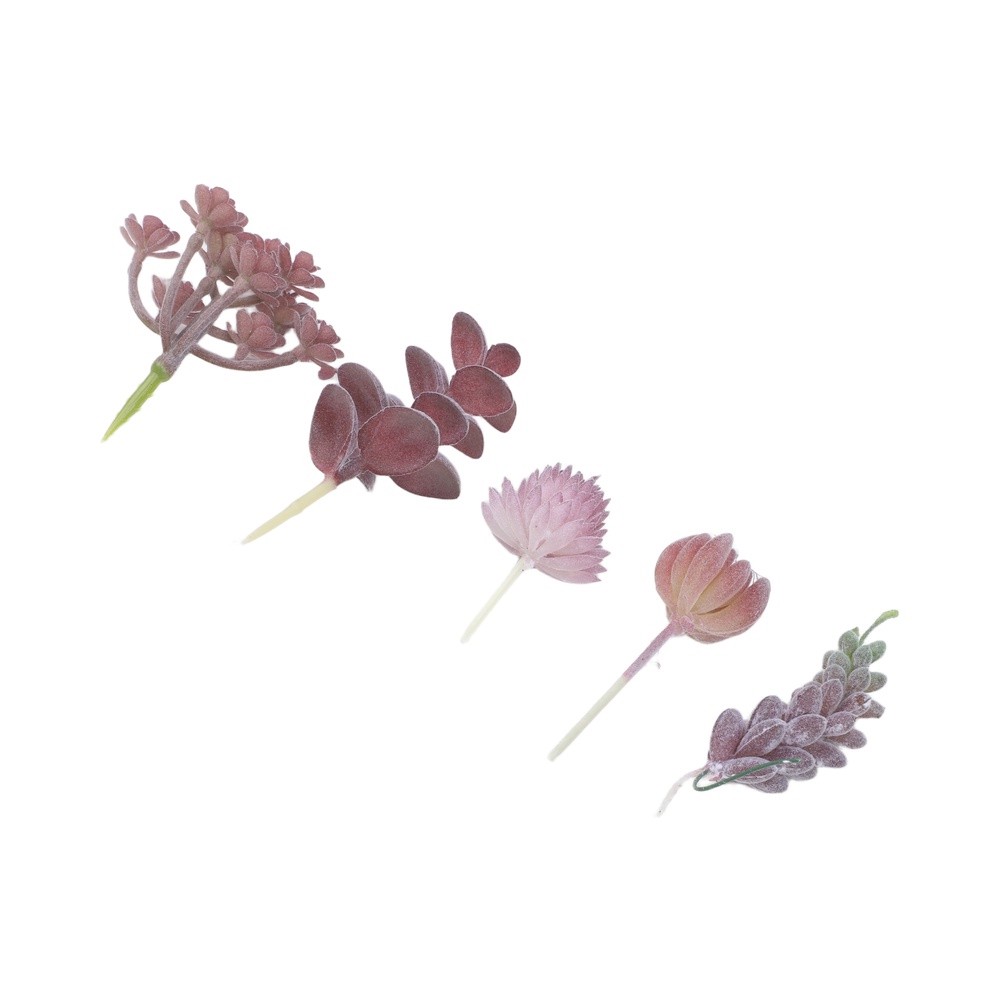 Artificial For Mini Bonsai Suc - đánh giá và giá Succulent Arrangement Mini