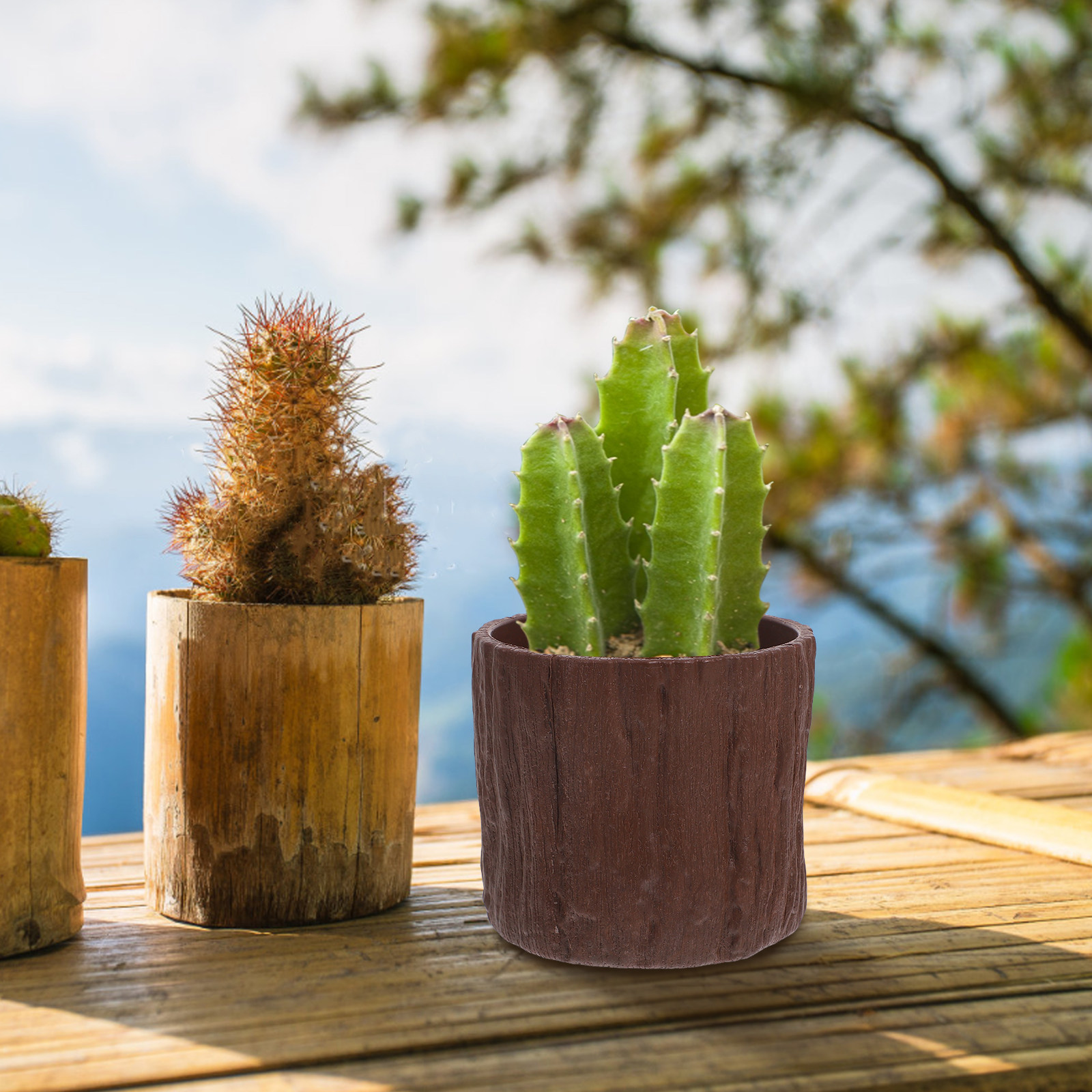 4Pcs Plastic Imitation Wood Fl - đánh giá và giá Succulent Arrangement Mini