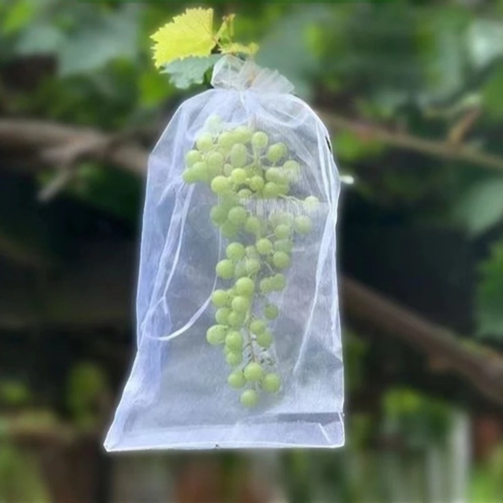 100pcs Grapes Fruit Grow Bags  - đánh giá và giá Plant Parent Tools