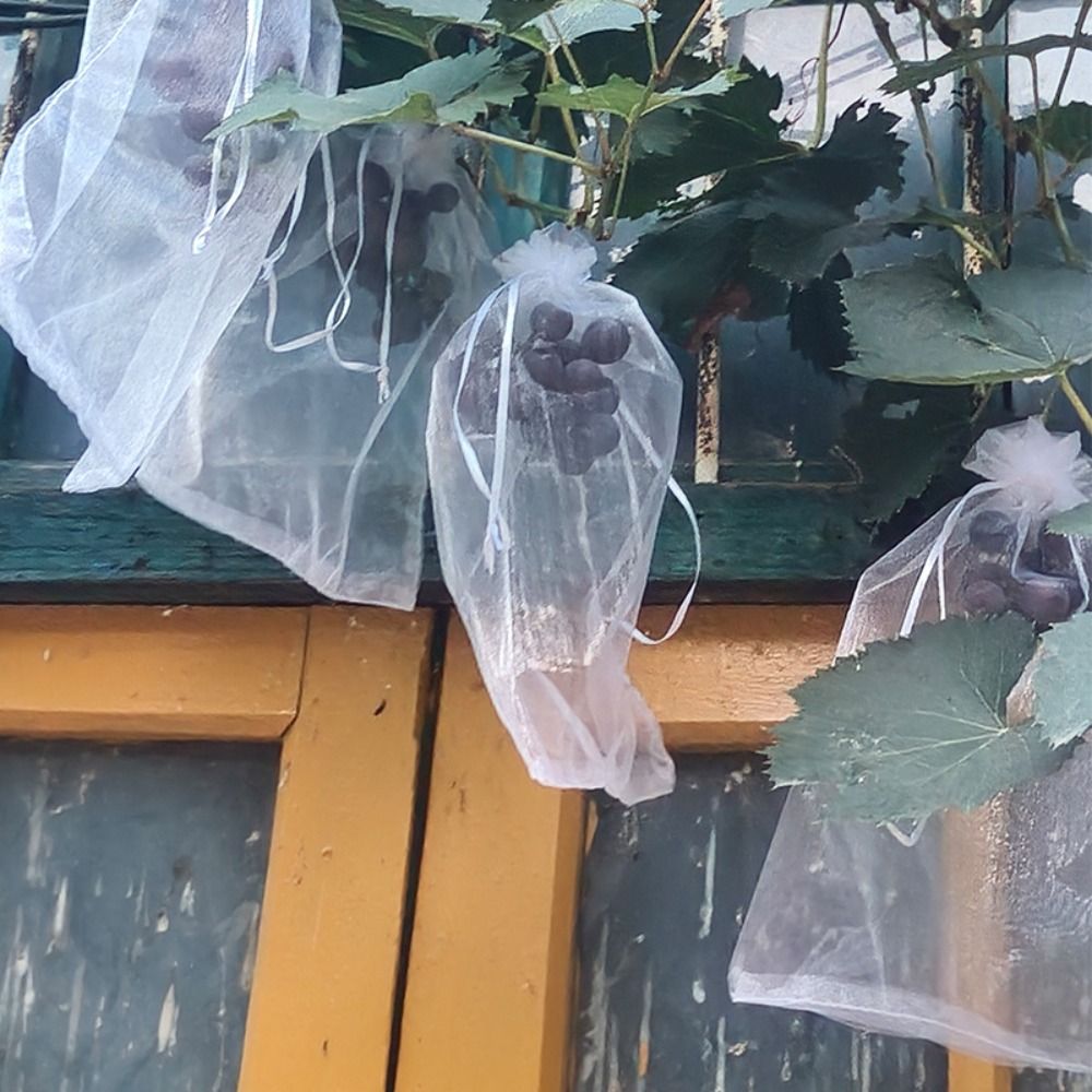 100pcs Grapes Fruit Grow Bags  - đánh giá và giá Plant Parent Tools
