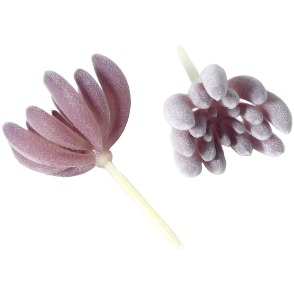 PVC Flocked Purple Fake Succul - đánh giá và giá Succulent Arrangement Mini