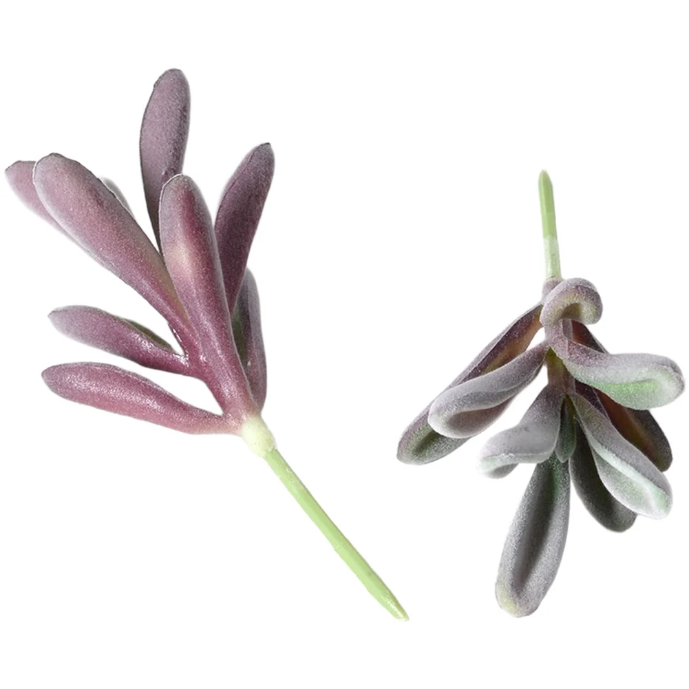 PVC Flocked Purple Fake Succul - đánh giá và giá Succulent Arrangement Mini