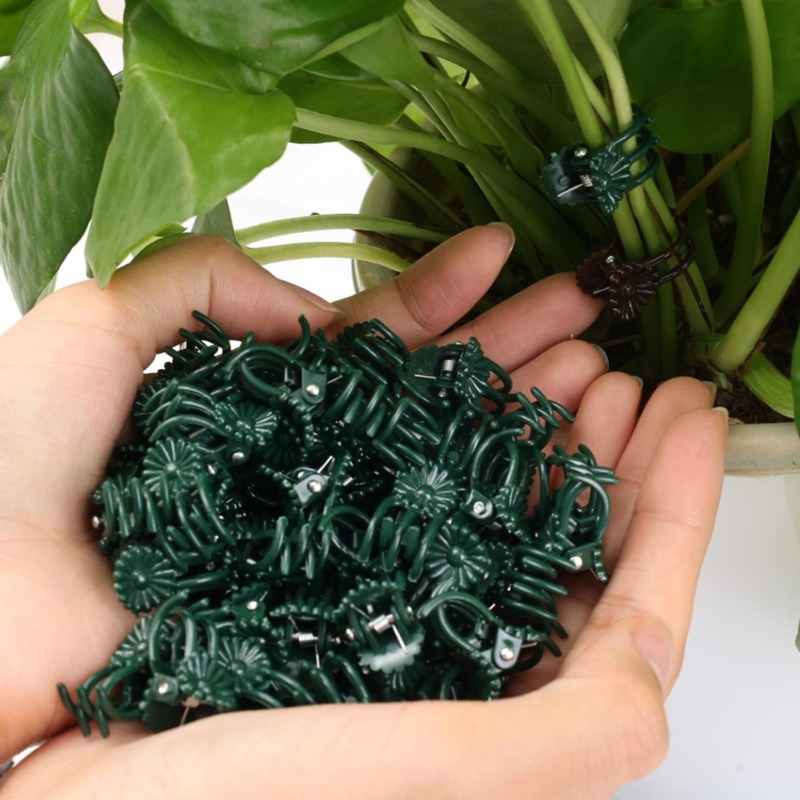 Wholesale Mini Plant Support C - đánh giá và giá Plant Parent Tools