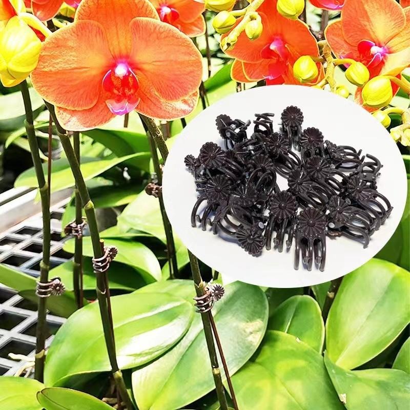 Wholesale Mini Plant Support C - đánh giá và giá Plant Parent Tools