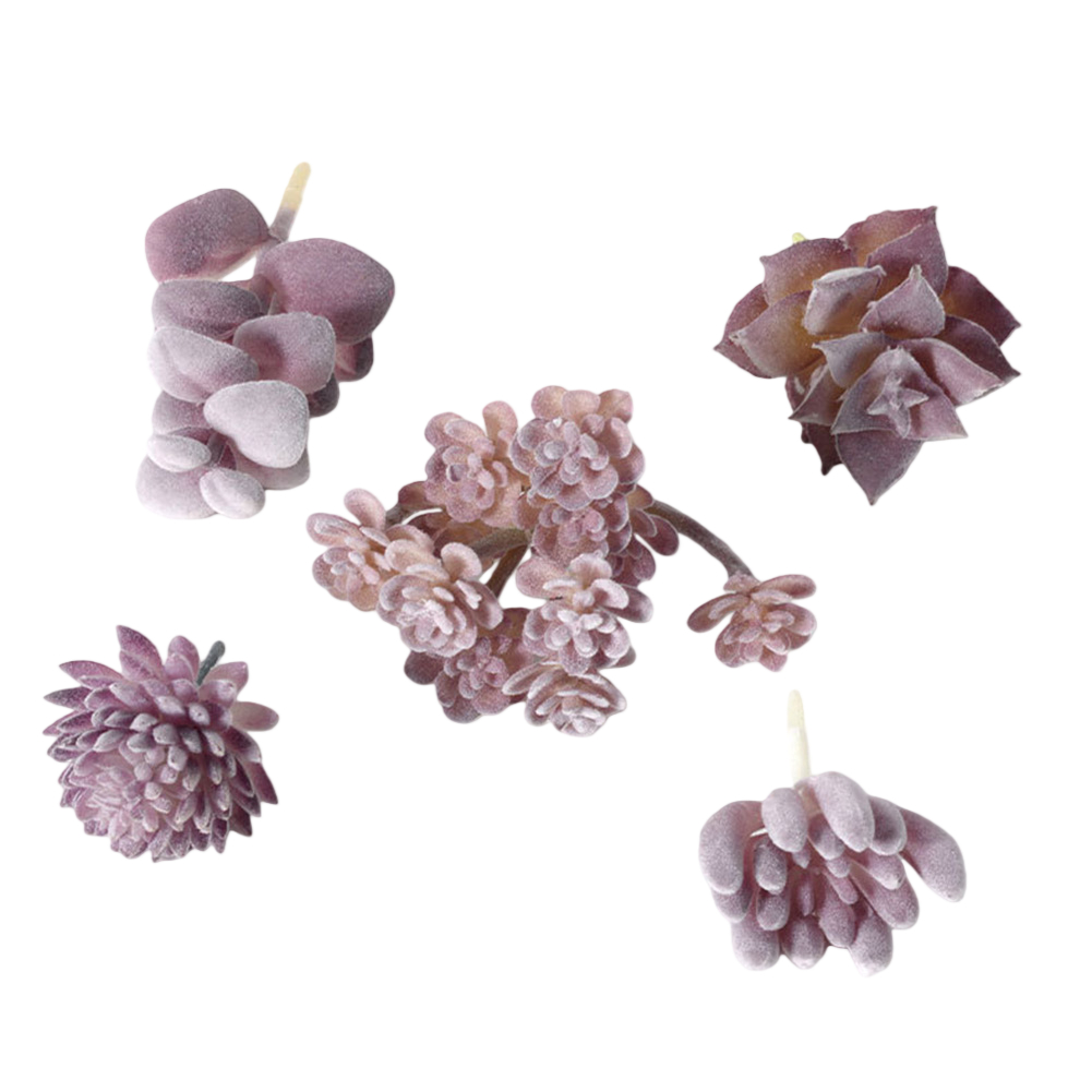 Plastic Based For Mini Bonsai  - đánh giá và giá Succulent Arrangement Mini