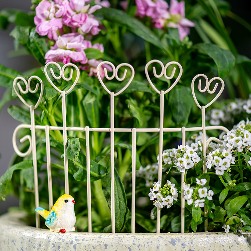 Whimsical Mini Iron FlowerPot  - đánh giá và giá Succulent Arrangement Mini