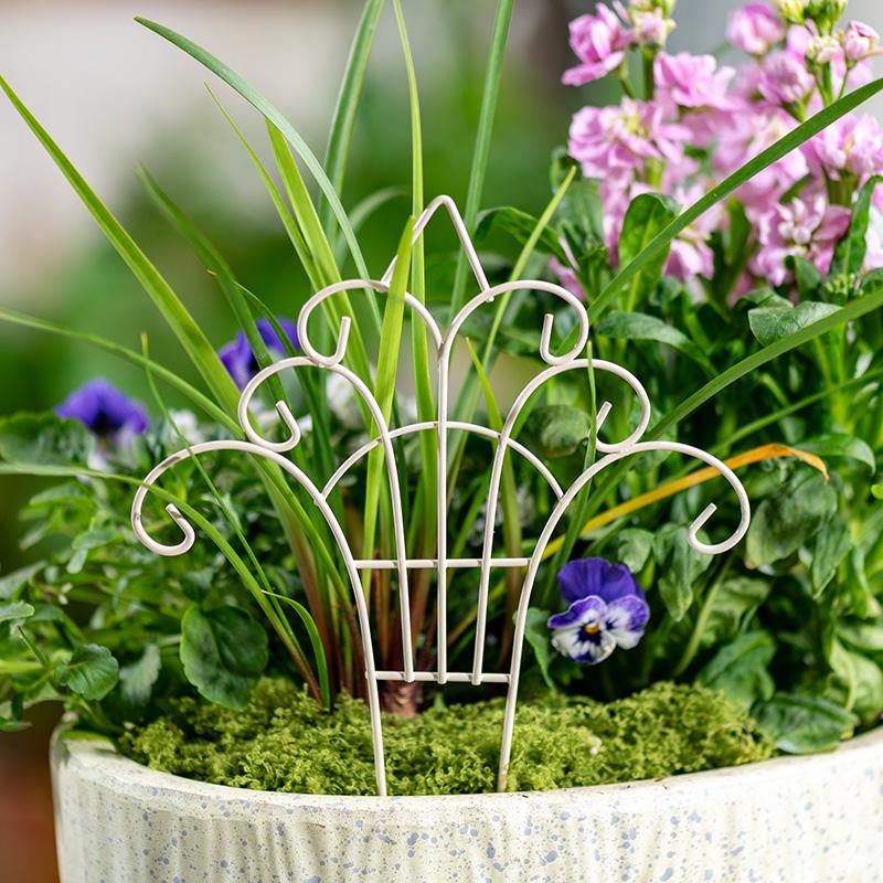 Whimsical Mini Iron FlowerPot  - đánh giá và giá Succulent Arrangement Mini