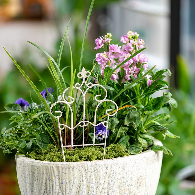 Whimsical Mini Iron FlowerPot  - đánh giá và giá Succulent Arrangement Mini