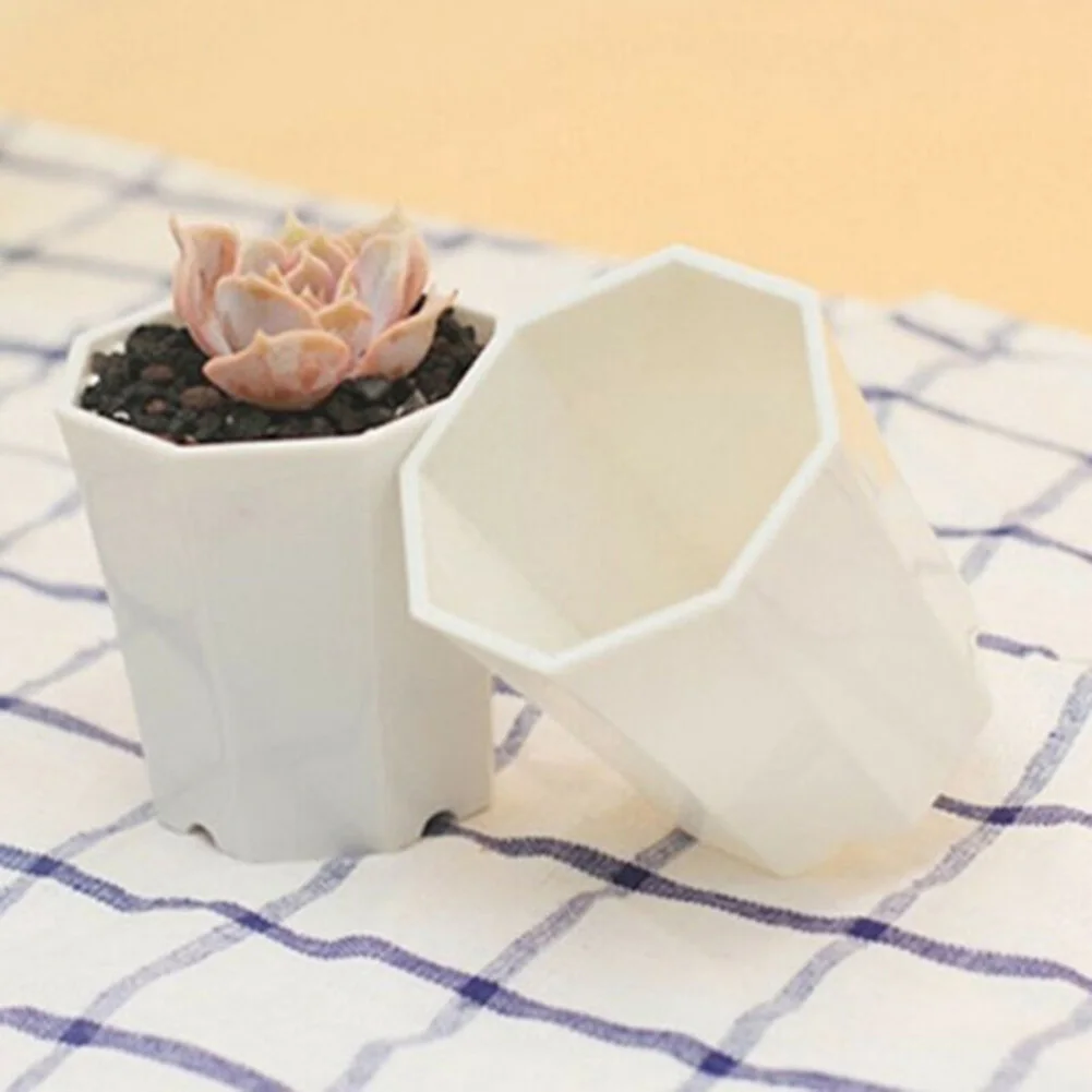 10pcs Plastic For Mini Flower  - đánh giá và giá Succulent Arrangement Mini