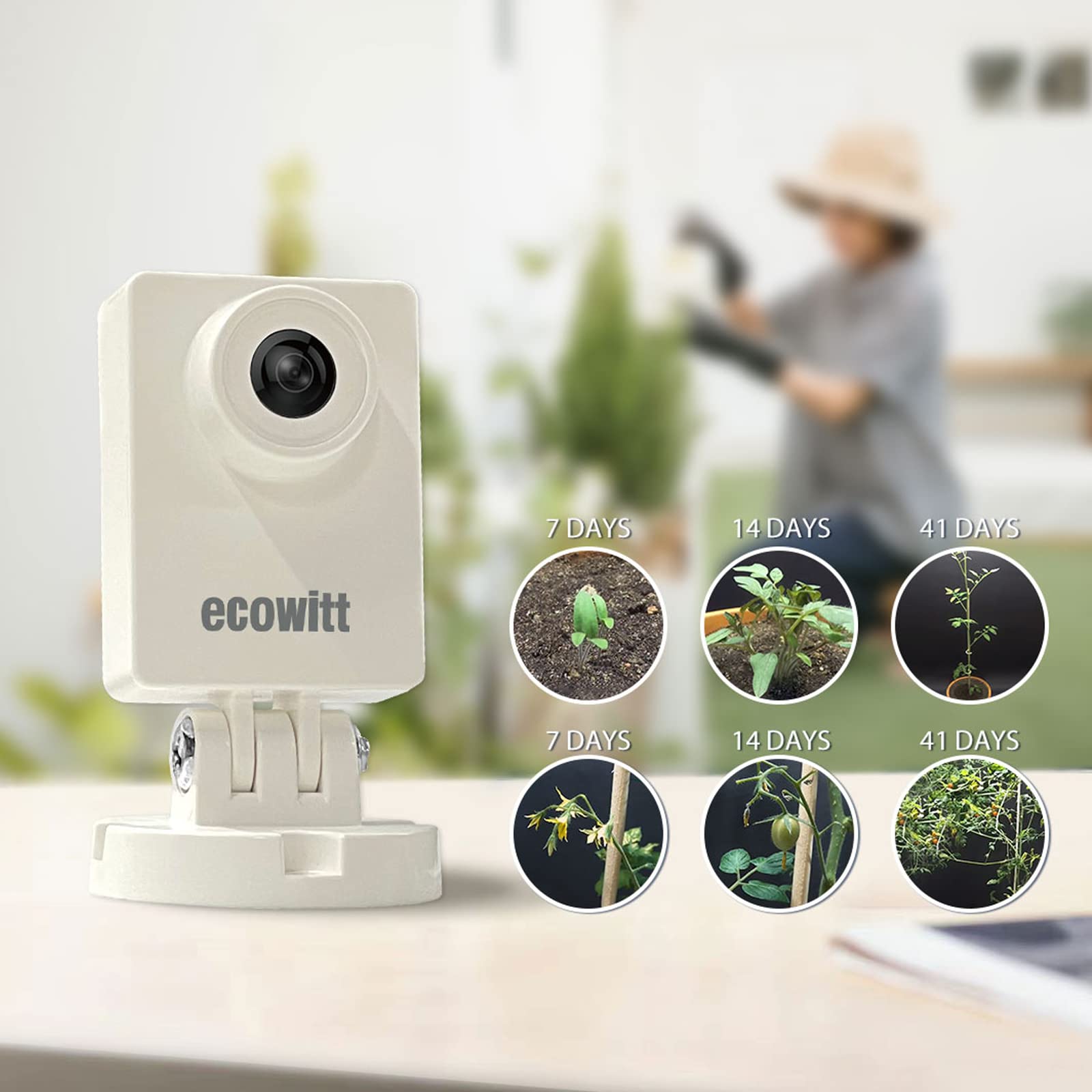 Ecowitt HP10 WittCam Outdoor W - đánh giá và giá Plant Parent App