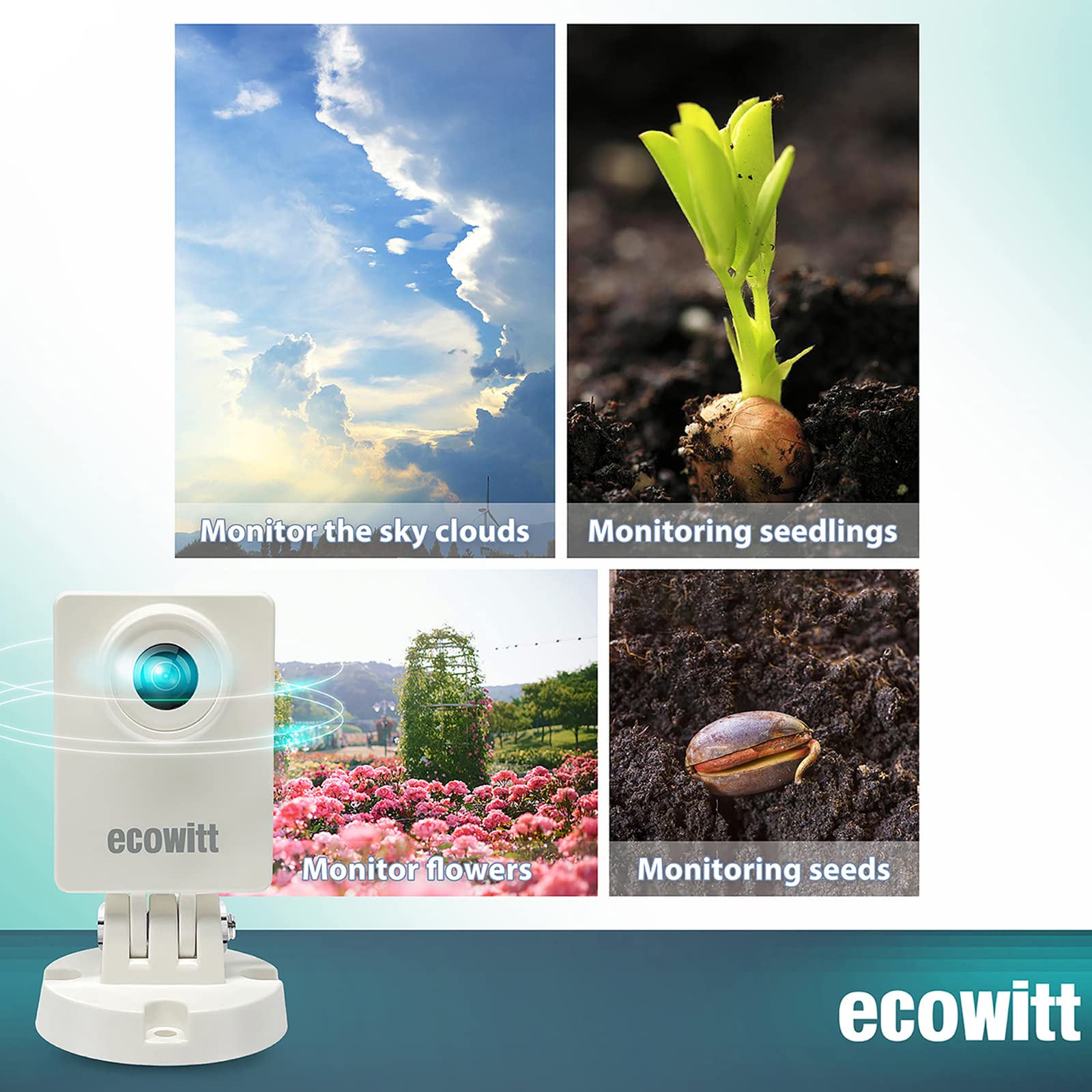 Ecowitt HP10 WittCam Outdoor W - đánh giá và giá Plant Parent App