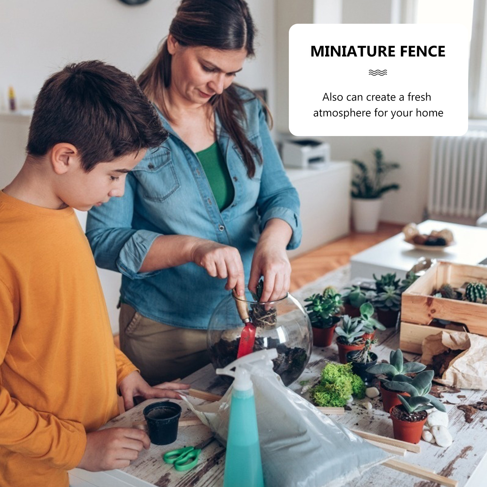 12Pcs Mini Wooden Fence Set Li - đánh giá và giá Succulent Arrangement Mini