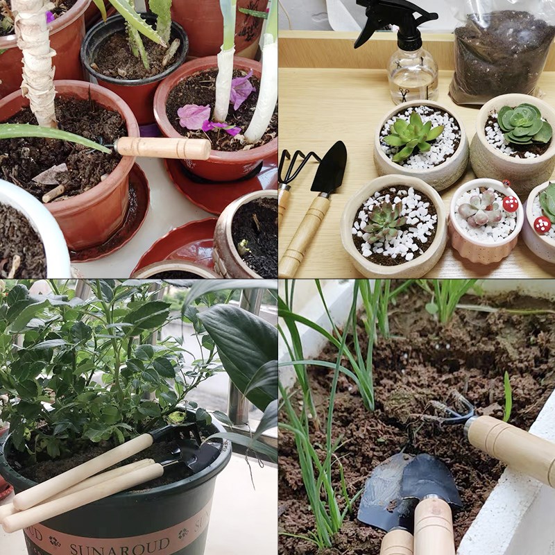 3PC/1Set Mini Gardening Tools  - đánh giá và giá Plant Parent Tools
