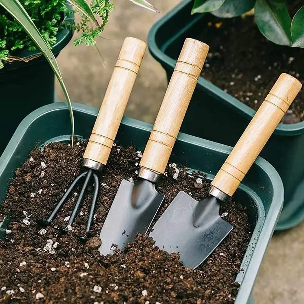 3Pcs/Set Mini Garden Tool Set  - đánh giá và giá Plant Parent Tools