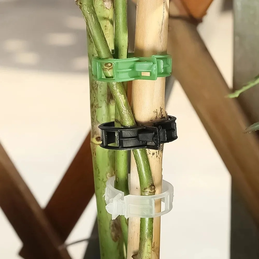 100/10PCS Plant Support Clips  - đánh giá và giá Plant Parent Tools