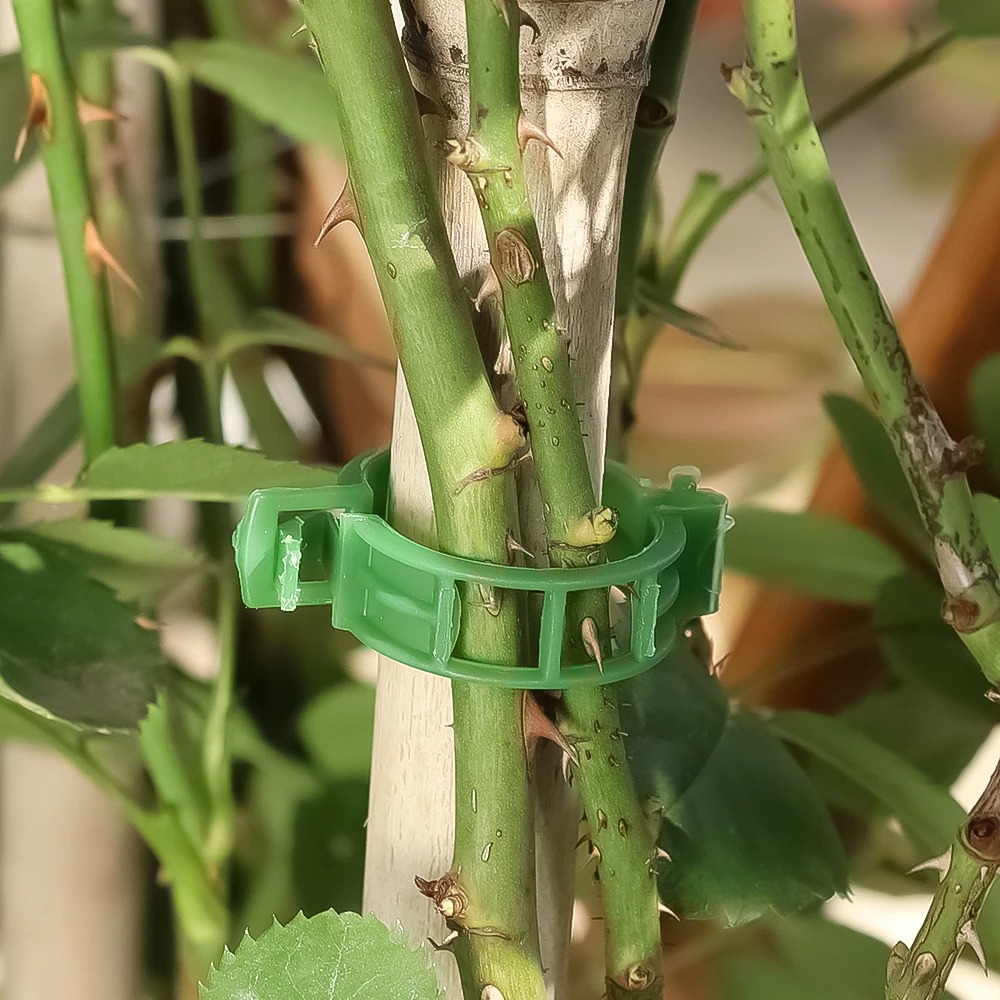 100/10PCS Plant Support Clips  - đánh giá và giá Plant Parent Tools