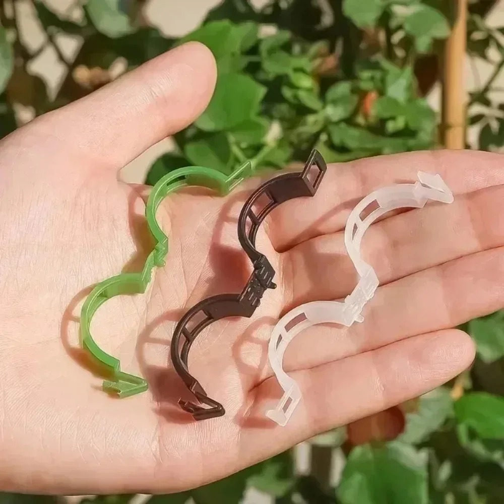 100/10PCS Plant Support Clips  - đánh giá và giá Plant Parent Tools