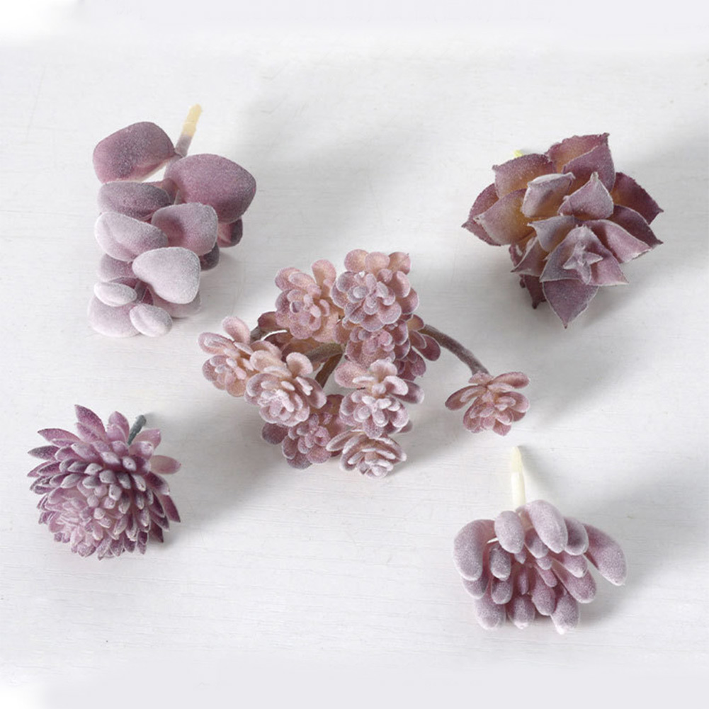 Charming For Mini Bonsai Succu - đánh giá và giá Succulent Arrangement Mini