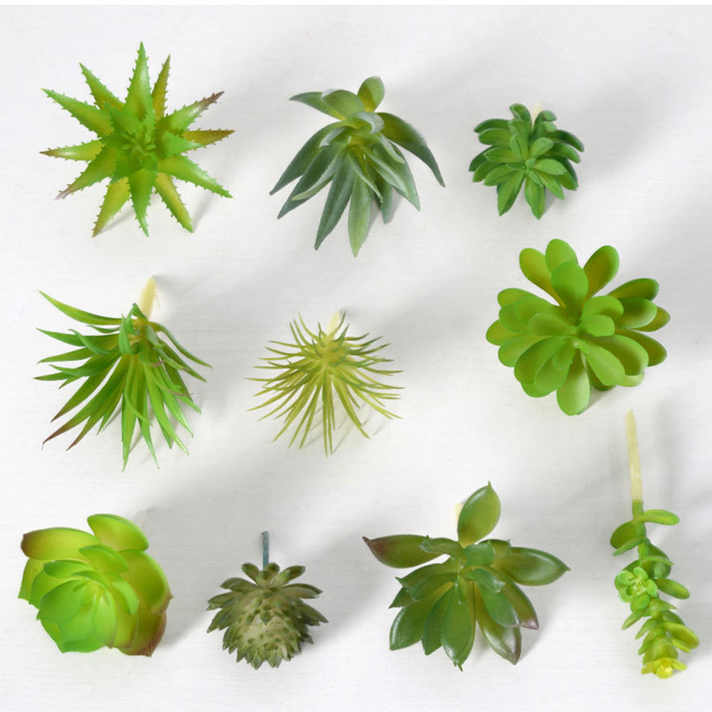 Charming For Mini Bonsai Succu - đánh giá và giá Succulent Arrangement Mini