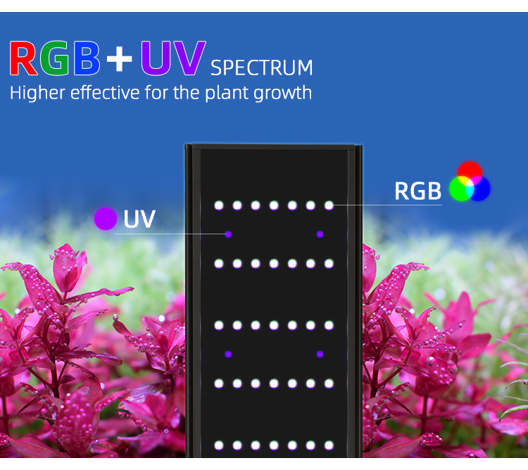 WEEK AQUA L Series APP Control - đánh giá và giá Plant Parent App