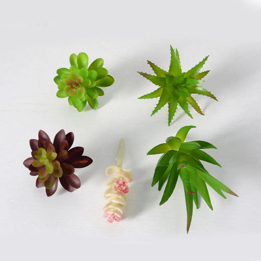 Charming For Mini Bonsai Succu - đánh giá và giá Succulent Arrangement Mini
