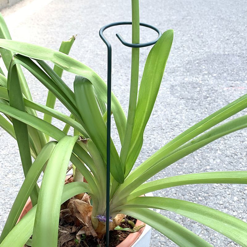 1-10pcs Metal Single Stem Plan - đánh giá và giá Plant Parent Tools