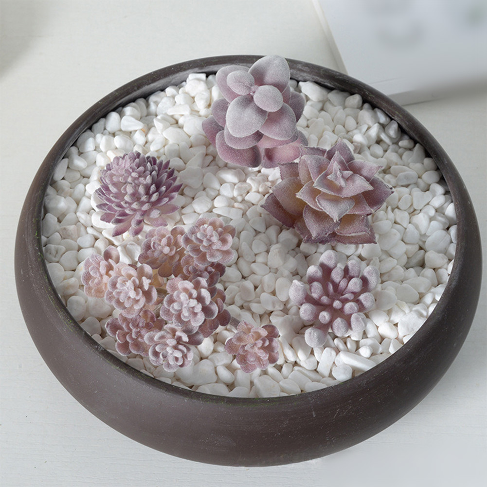 Photography Prop Friendly For  - đánh giá và giá Succulent Arrangement Mini