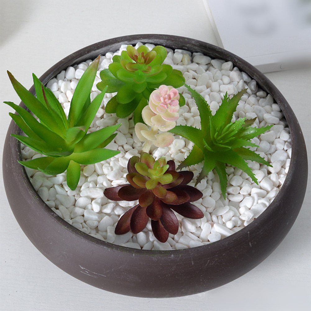 Photography Prop Friendly For  - đánh giá và giá Succulent Arrangement Mini