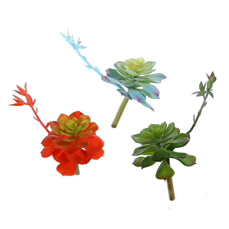 Wusmart Zhong Shi Lian Large A - đánh giá và giá Succulent Arrangement Mini