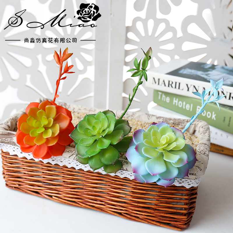 Wusmart Zhong Shi Lian Large A - đánh giá và giá Succulent Arrangement Mini
