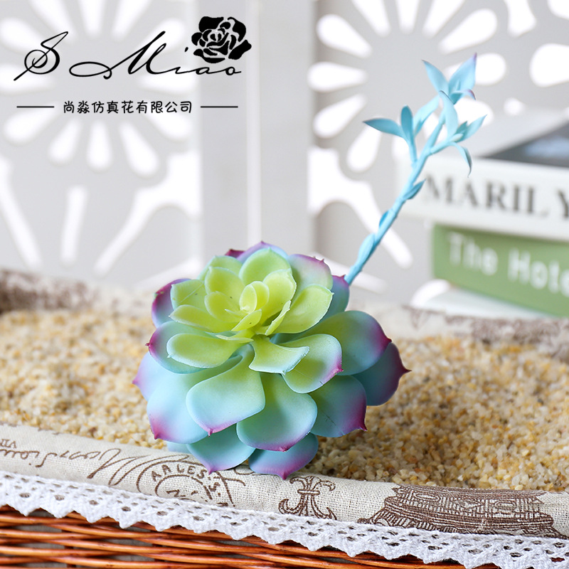 Wusmart Zhong Shi Lian Large A - đánh giá và giá Succulent Arrangement Mini
