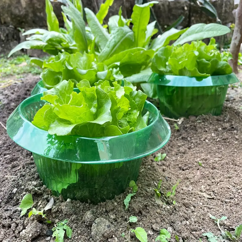 Plants Slug Protection Rings V - đánh giá và giá Plant Parent Tools