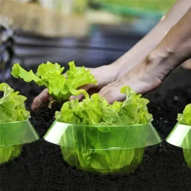 Plants Slug Protection Rings V - đánh giá và giá Plant Parent Tools