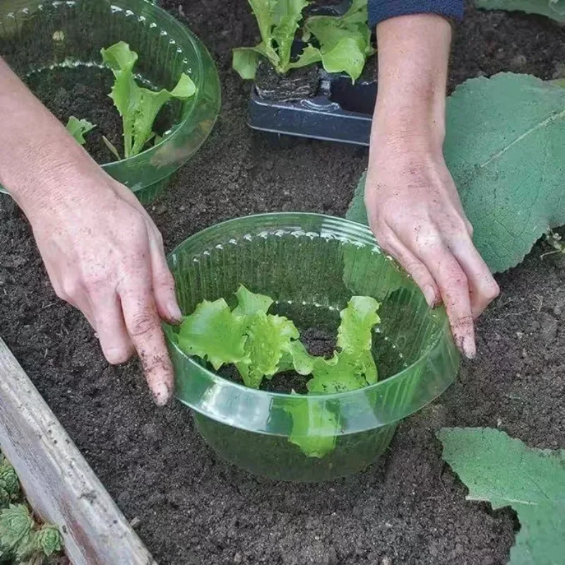Plants Slug Protection Rings V - đánh giá và giá Plant Parent Tools
