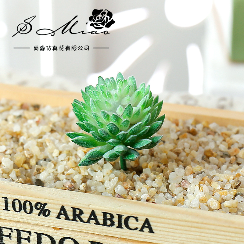 Wusmart Ji Wa Lian Artificial  - đánh giá và giá Succulent Arrangement Mini