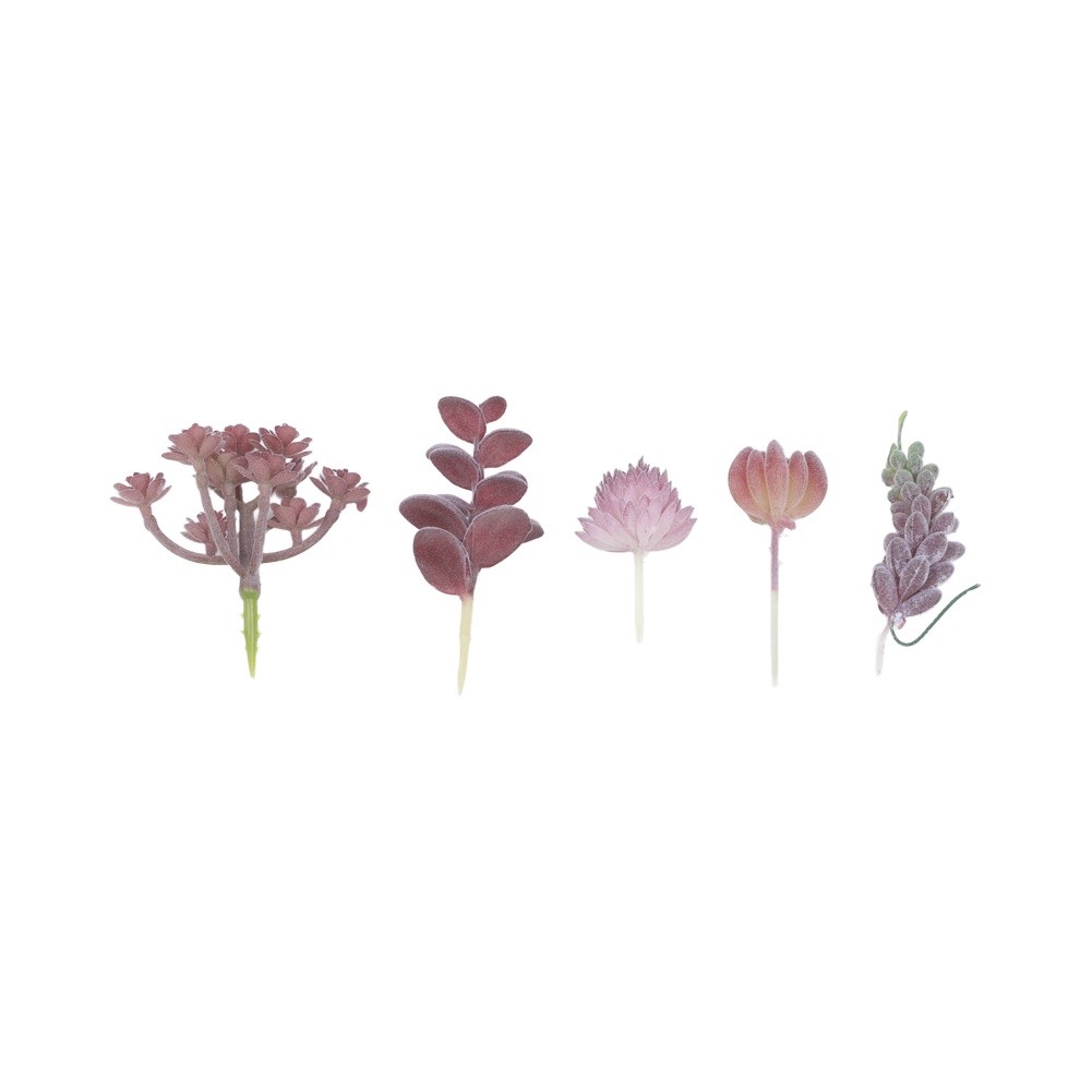 Contemporary For Mini Bonsai T - đánh giá và giá Succulent Arrangement Mini