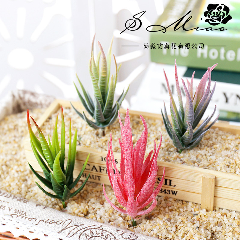 Wusmart Ban Ma Lu Hui Artifici - đánh giá và giá Succulent Arrangement Mini