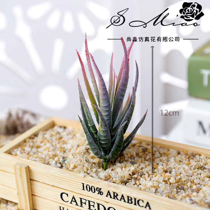 Wusmart Ban Ma Lu Hui Artifici - đánh giá và giá Succulent Arrangement Mini