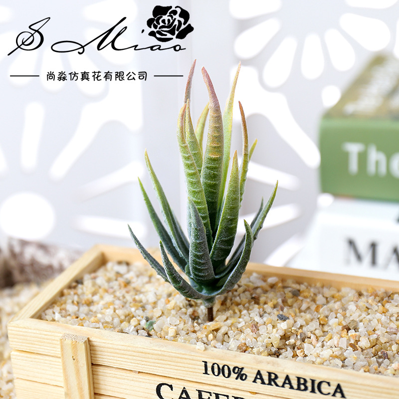 Wusmart Ban Ma Lu Hui Artifici - đánh giá và giá Succulent Arrangement Mini