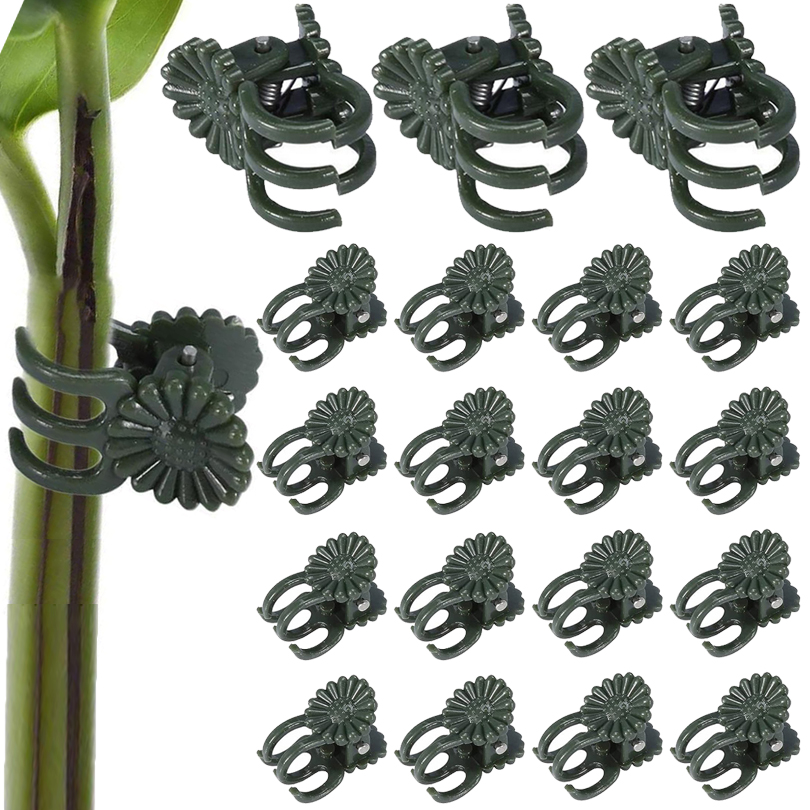 20/50/100PCS Plant Clips Vine  - đánh giá và giá Plant Parent Tools
