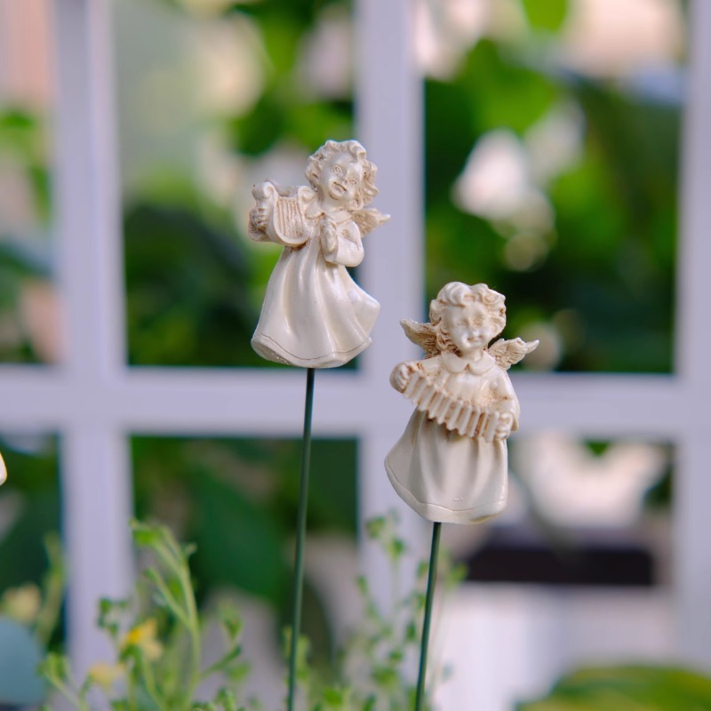 Angel Flower Arranger for Succ - đánh giá và giá Succulent Arrangement Mini